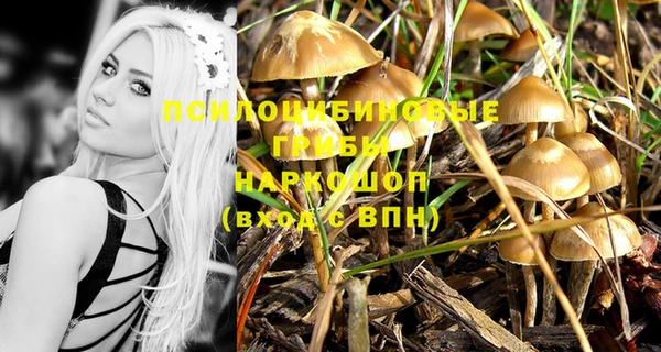 дживик Арсеньев