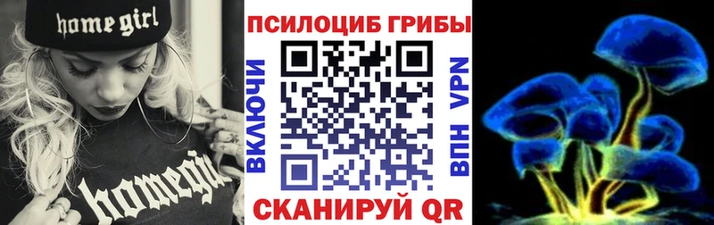Галлюциногенные грибы Magic Shrooms  Купить где  Сычёвка 