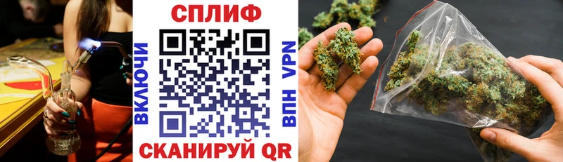 Бошки Шишки семена  Купить закладки  Сычёвка 